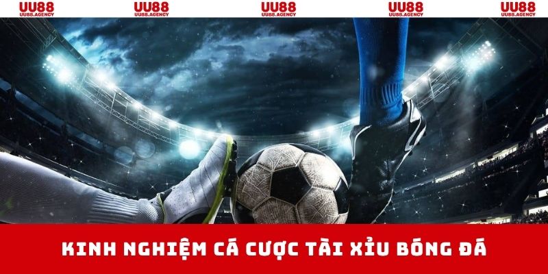 Kinh nghiệm bất bại thắng lớn khi thành viên cá cược kèo tài xỉu 