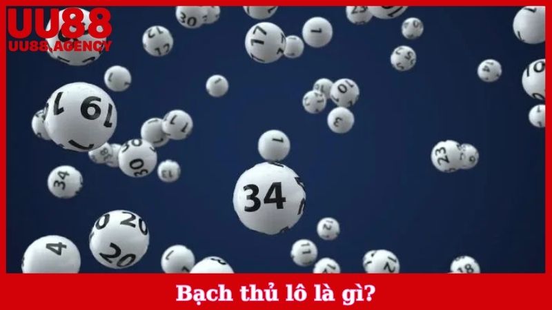 Bạch Thủ Lô là gì